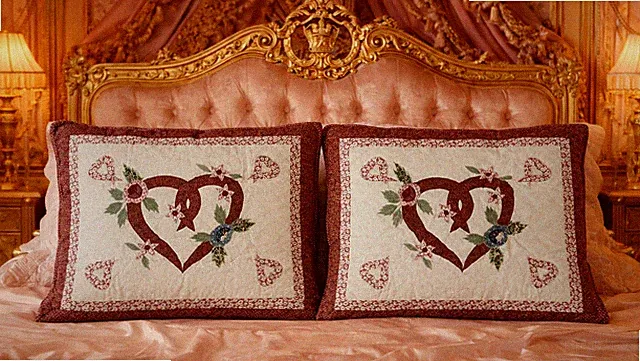 New Two (2) Shams “Love from the Heart” 20" x 26"