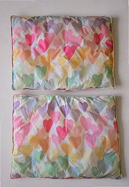 Pottery Barn Evie Hearts Dream Puff Pillow Shams Set Of 2 Standard Pastel Quilt
