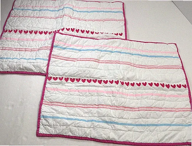 Pottery Barn Kids Embroidered Hearts Quilted Pillow Shams (2) Standard Tie Close