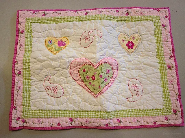 Pottery Barn Kids "Paisley Hearts" Quilted Standard Sham