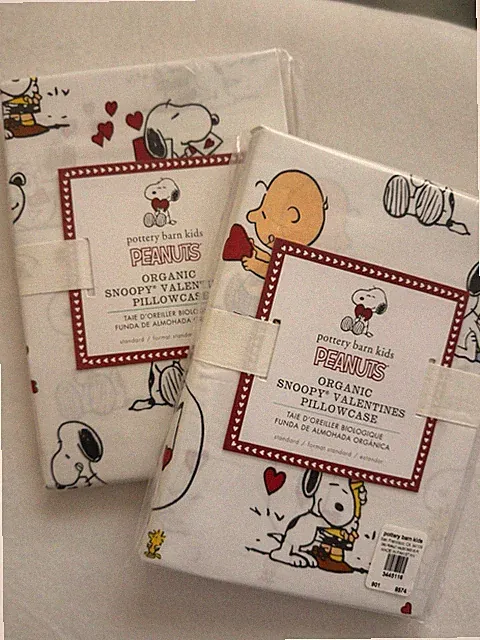 Pottery Barn Kids ~PEANUTS VALENTINE~ PILLOWCASE (1) ~ SNOOPY & LUCY Hearts LOVE